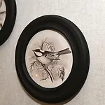 Desconectaenlasriasbaixas Lugris
